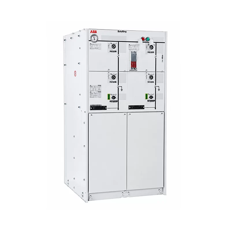 safeRing Air Gas Cabinet